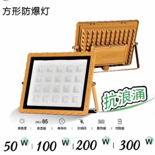 led防爆投光灯户外防水照明庭院200W方形工程专用100W探照落地灯