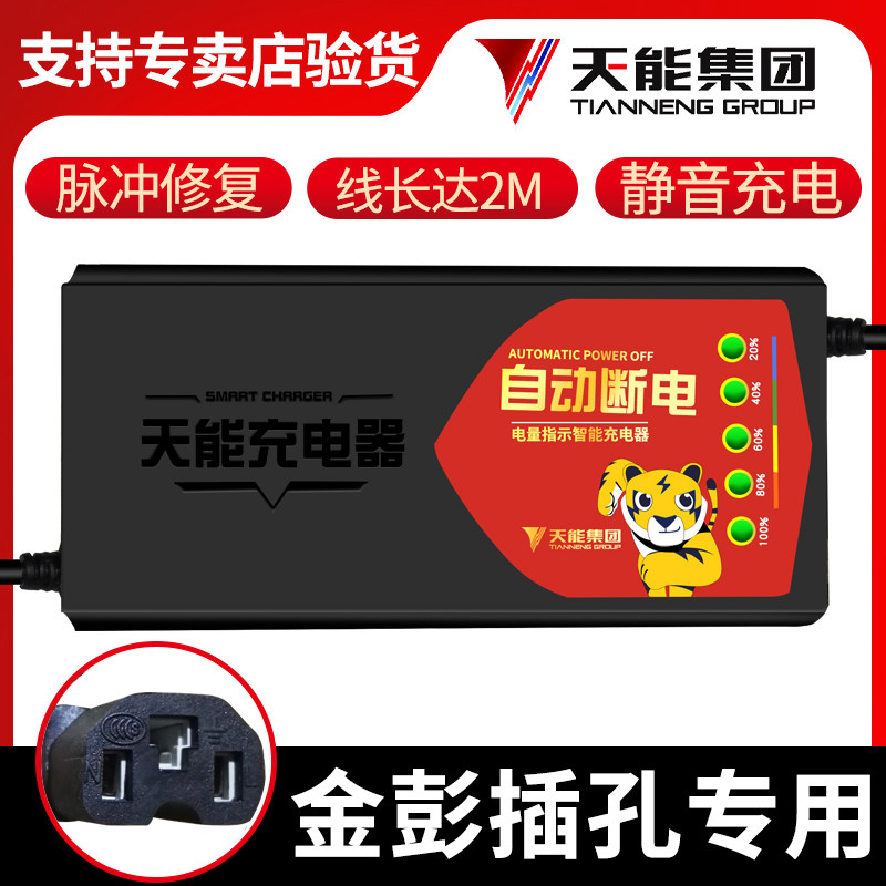 电动车电瓶充电器48V20A60V30AH72V40A50A60A大功率三轮通用
