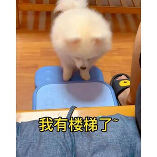 狗狗楼梯宠物爬梯上床沙发防滑小型猫犬台阶斜坡折叠塑料爬高梯子