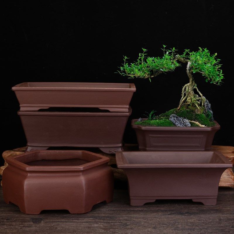 紫砂兰花盆精品陶瓷方形客厅桌面六方古典高档松柏竹子盆景盆包邮,鲜花速递/花卉仿真/绿植园艺,花盆,淘宝优惠券,粉丝福利购,淘宝优惠卷