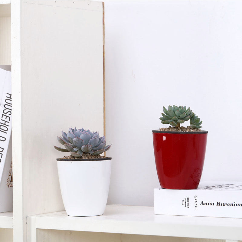 烤漆塑料小花盆 圆形双层懒人自动吸水室内桌面绿植多肉创意园艺