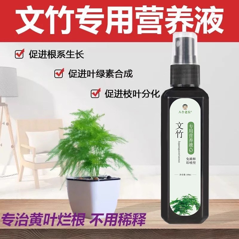 免稀释文竹营养液治黄叶专用肥料一喷绿盆栽室内液体肥云竹营养液