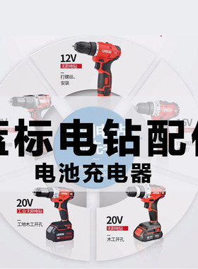 蓝标搭架者钢索电动扳手配件电池充电器开关16V20V5168电钻齿轮箱