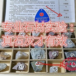 石灰石风化页岩石膏云母仙人球颗粒土铺面垫底碳酸钙营养控型包邮