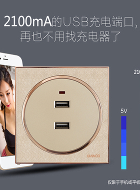 86香槟金船房车usb插座低压12V24VUSB插座36V二孔USB充电插座面板