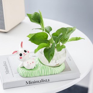 创意水养花瓶玻璃透明绿萝植物插花器皿客厅装 饰品陶瓷兔水培摆件