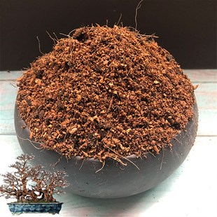 雀梅专用土长寿梅盆景盆栽营养土园艺酸性沙质土壤绿植种植土肥料