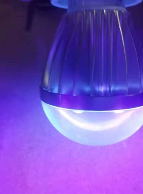 12v紫光灯泡220伏led紫色验钞密室逃脱24V普通螺纹口LED灯泡