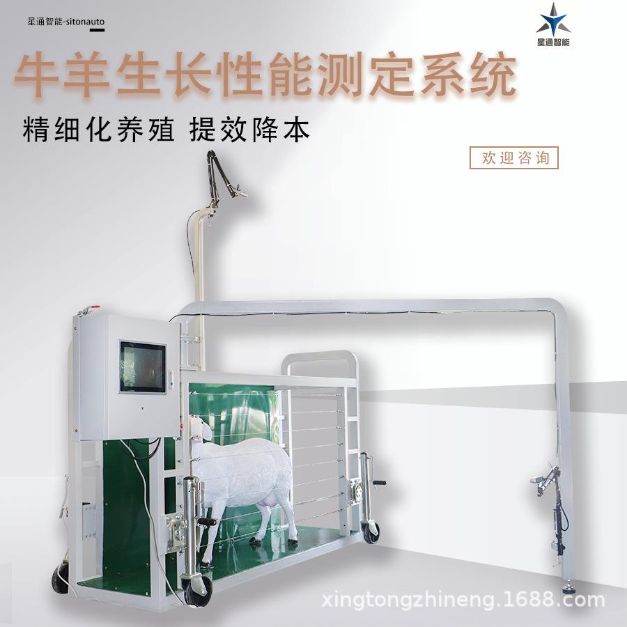 星通羊只智能体尺测量设备无接触测量精度高数据可上传云端