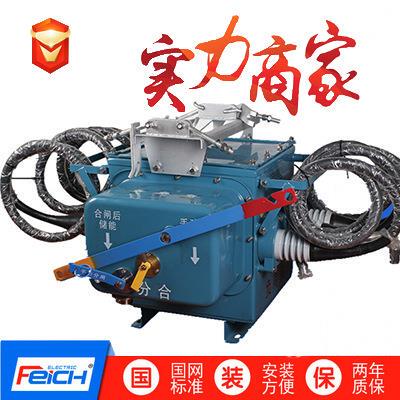 10kv户外高压真空断路器FZW28-12F/630智能分界开关FZW28VSP5-12