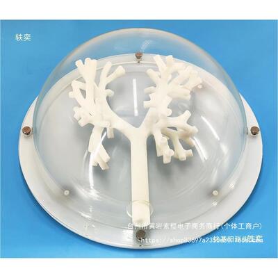 支气管镜训练模型 气管模型5级分支 硬质材料