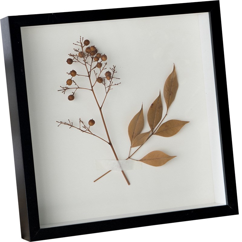 文艺植物手作标本装饰画挂画照片墙干花相框民宿家居摆件创意礼品图片