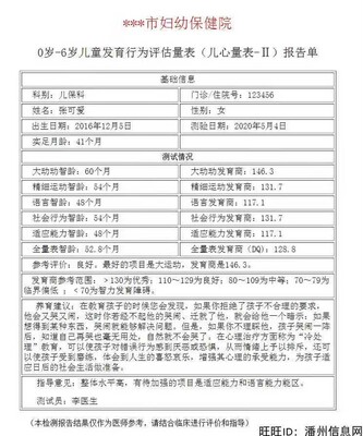 儿心量表儿童发育商DQ测评系统工具箱 测智育发展五大项身体宝宝