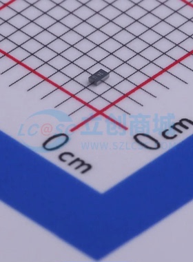 肖特基二极管 PMEG4010ESBYL DSN1006-2 40V 1A