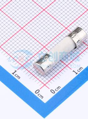一次性保险丝 0215005.HXP D5.2xL20mm 原装正品
