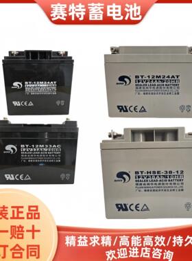 福建闽华赛特BT-12V2.2A5A7A10A14A17A24A38A65AH消防主机蓄电池