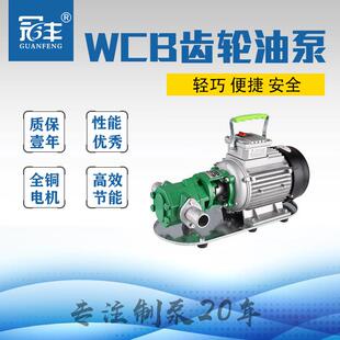 电动铸铁220V抽油泵机油泵液压油煤油齿轮自吸式水泵wcb-50