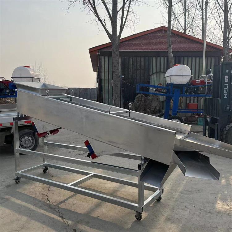 304不锈钢电动筛子震动筛分机山楂核桃红枣筛选机