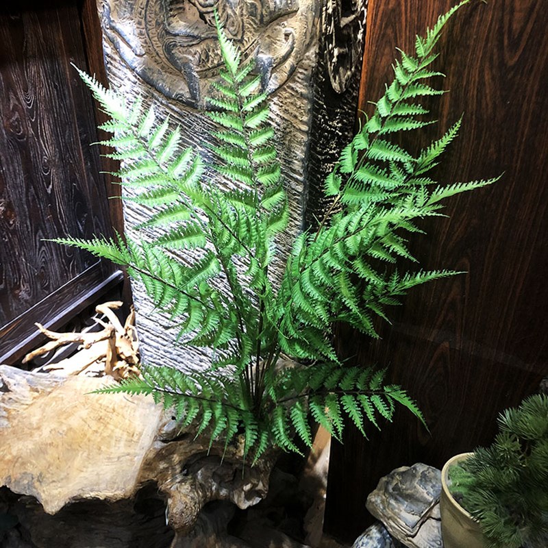 仿真波斯草软胶羽节蕨锯叶蕨草黑骨芒植物假花软装插花配材装饰