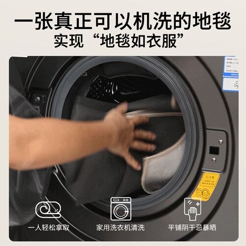 层拆洗洗水洗地毯客厅新款无胶地垫大面积全铺卧室毯子