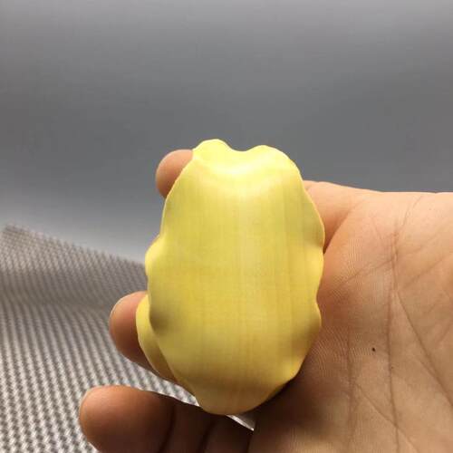 崖柏黄杨木雕动物文玩手把件雕刻工艺品实木茶道礼品茶宠蜗牛精神