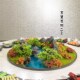 酒店餐桌大圆桌创意装 饰桌假仿真干摆设桌面艺