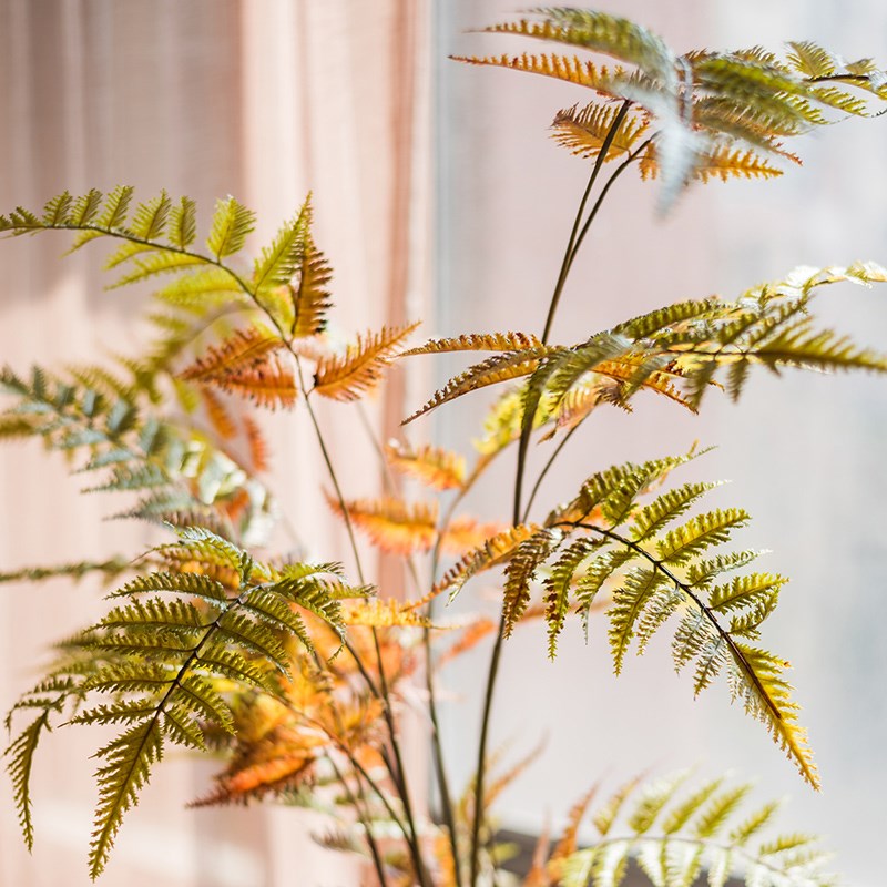 掬涵桫椤叶仿真花绿植蕨类植物装饰花艺插花森系婚礼造景用品