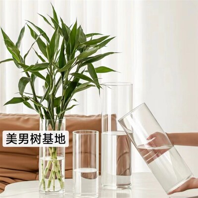 简约透明直筒玻璃花瓶水养美男树马醉木富贵竹鲜花桌面大号花瓶