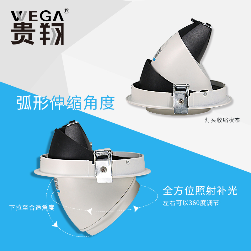 贵翔 射灯嵌入式吸顶植物补光灯全光谱生长灯LED室内植物墙造景
