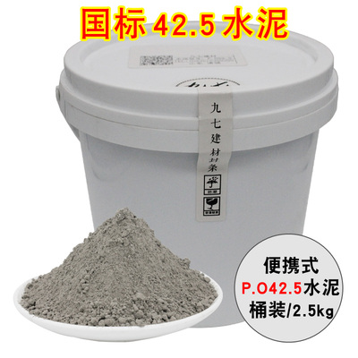 水泥硅酸盐po42.5大学实验425山水防水补漏洞快干硬早强桶装九七