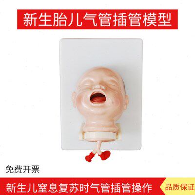 新生胎儿气管插管模型 幼儿口鼻气管插管实习操作示教模拟人