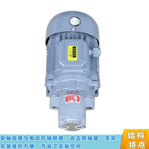 CBCB-B6JZ-B2.5CB-4B-CB6-DCB-B10B-DJZ(内轴)直插式齿轮泵电机组