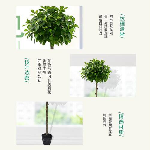 网红ins仿真琴叶榕盆园林绿化盆景植室内客厅栽栽SY021落地盆绿色