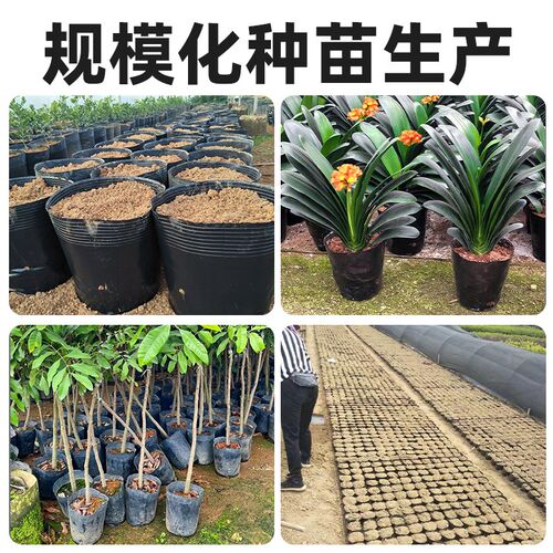 营养钵育苗盆营养杯育苗杯种植袋黑色农用抗老化简易营养袋育苗袋