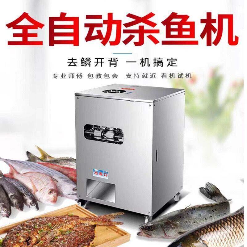 全自动去鱼鳞机杀鱼机开背开肚大鱼商用一整套全自动杀鱼小型