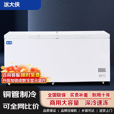 冰柜展示柜商用大容量冷藏冷冻铜管制冷冻柜节能单温双温卧式冷柜