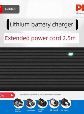 延长绳锂电池电动汽车充电器24V36V2A48V3A60V5A72V8一代驱动折叠