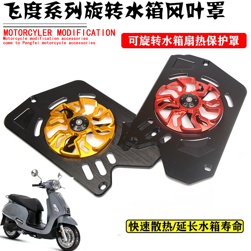 适用三阳飞度5改装水箱散热风叶罩FIDDLE150 飞度4保护罩水箱护网