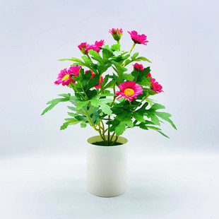 仿真盆栽假花盆景高仿真野菊花雏菊盆栽人造花摆件货源