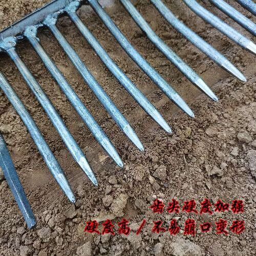 搂石子蛤蜊密齿耙子加密赶海耙子搂草搂树叶平地松土特厚农用细齿