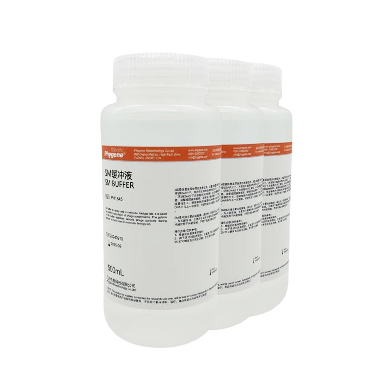 M缓冲液 即用型  科研实验 [PH5 PHYGENE]
