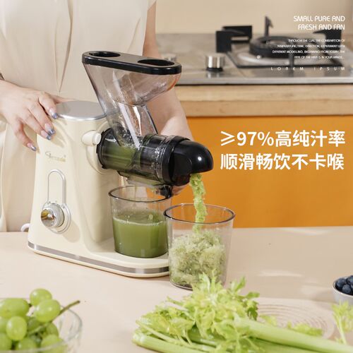 小型榨汁汁渣分离炸西芹慢磨大口径免切卧式原汁