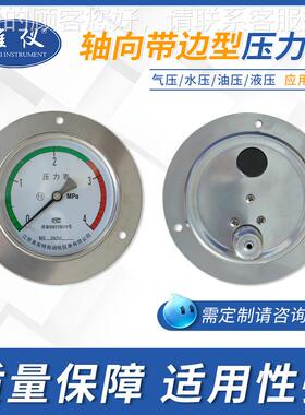 YXC-60ZT厂家直销轴轴向压力 压力表向 表向耐震轴压力表 轴向压