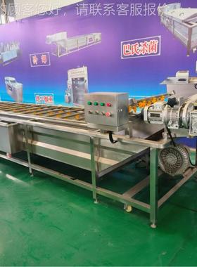 全自动苹果泡清洗机气泡洗清机果蔬菜清洗设备中草药气清水VXT洗