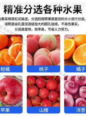 广分州圣天水果级机ENU荔枝三华 李子橙柑子选果机 蔬果橘清洗分