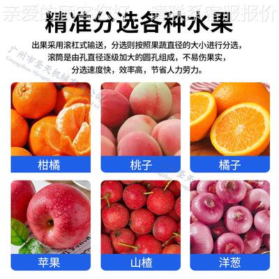 广分州圣天水果级机ENU荔枝三华 李子橙柑子选果机 蔬果橘清洗分