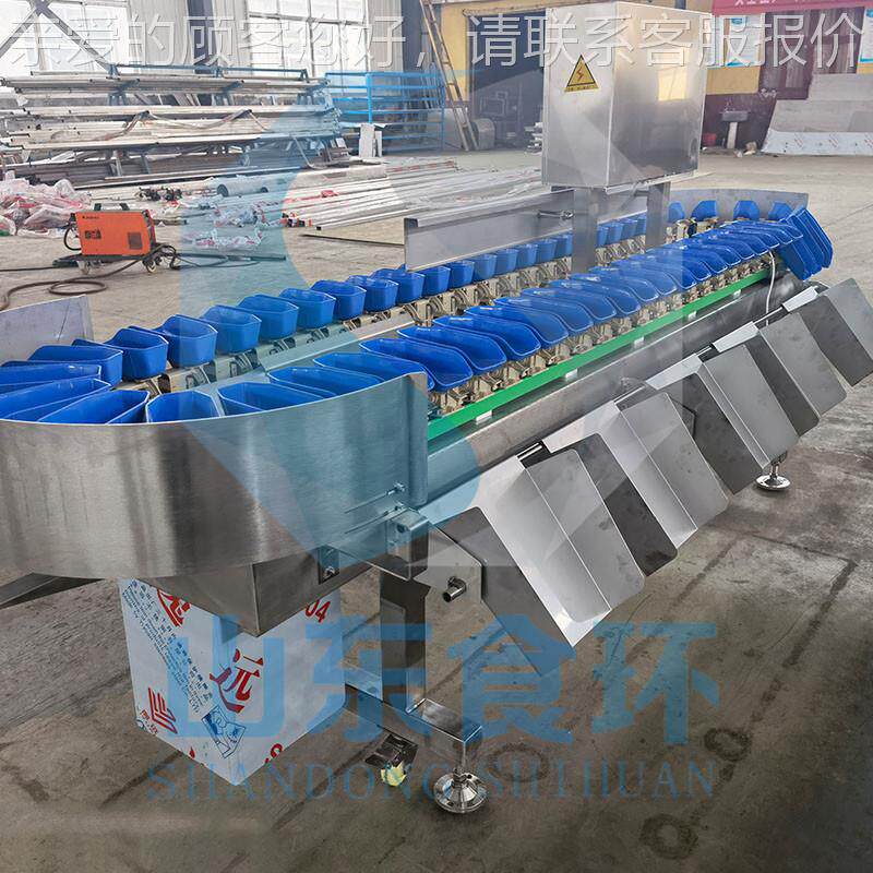 蛎子牡蛎重量分选机 海鲜式重量分级机 海料盒多级别 DMU重称分选
