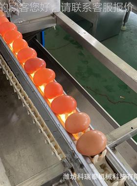 速泥蛋快清洗去泥备机 单排小型FNO功保洁蛋生产设 自动化多能洗