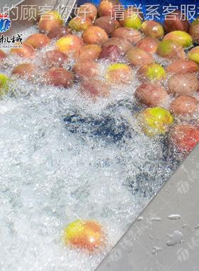 AXC果蔬清洗机清械设备 生各类水果洗风干型产线 大风干机分选机