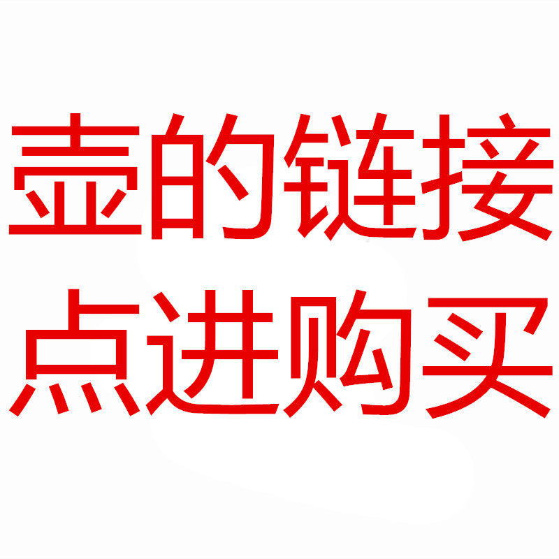 高硼硅耐热迷你玻璃壶 特莱雅家用办公室养生花茶壶耐高温泡茶壶